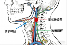 图片 2.png 图片 2.png