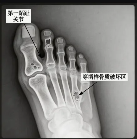 图片 3.png 图片 3.png